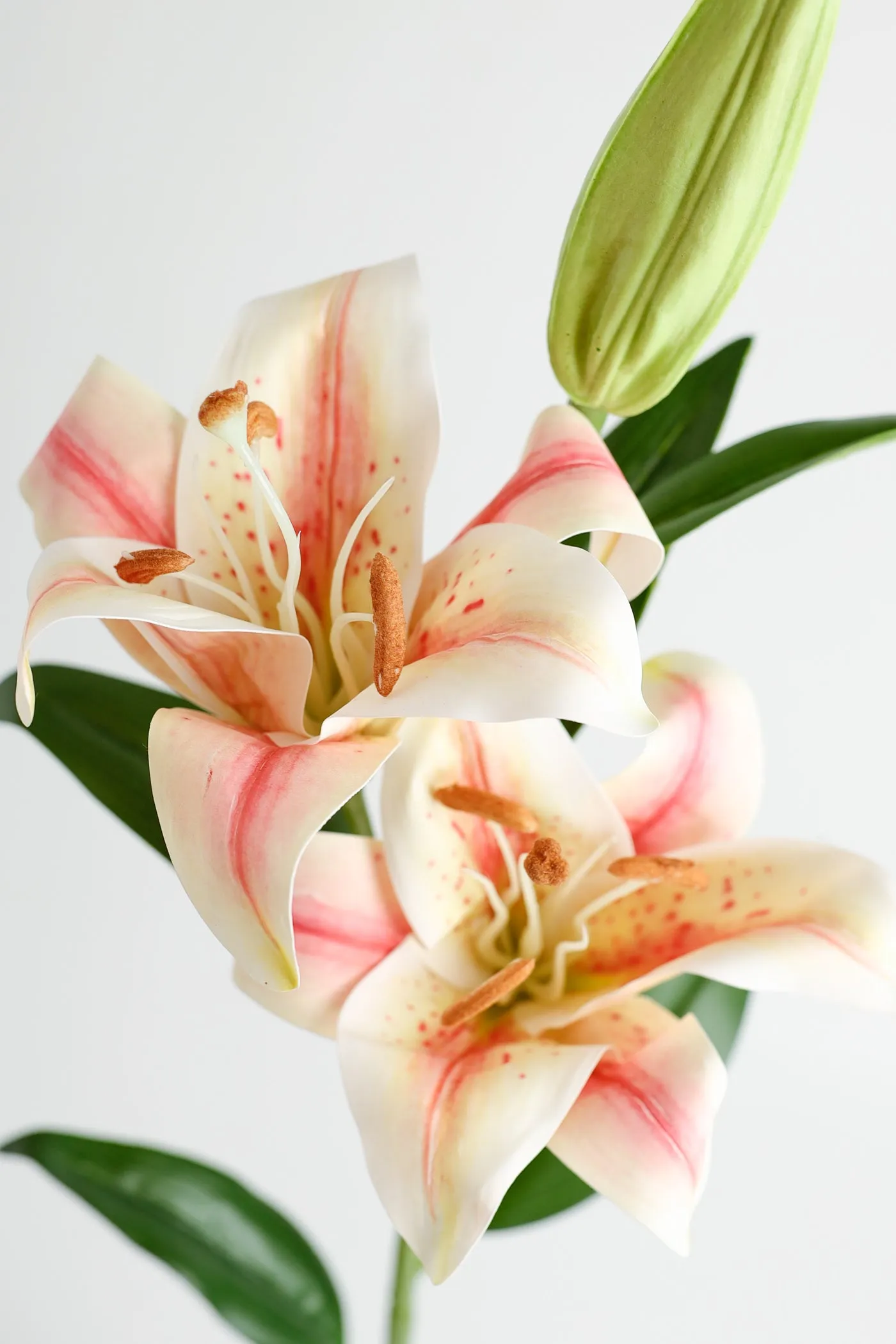 Premium Real Touch Tiger Lily Spray Stem