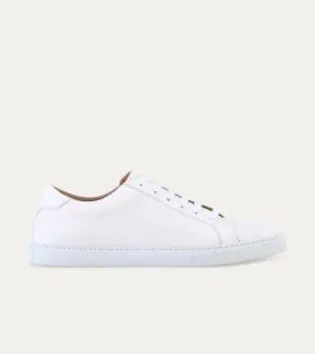 Travel Sneaker In White Buffalo